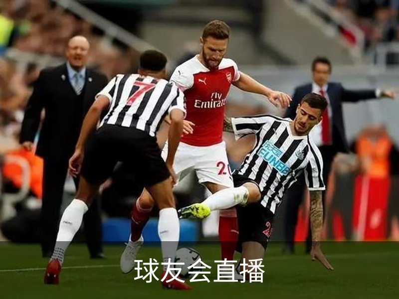 关于球友会直播